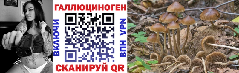 купить   Абдулино  Галлюциногенные грибы MAGIC MUSHROOMS 